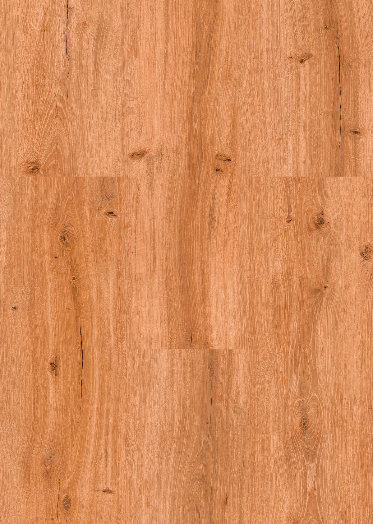 Vinylboden Eiche Bregenz  per  m² - Eichefarben, Design, Holzwerkstoff/Kunststoff (123,5/23/0,98cm) - Venda