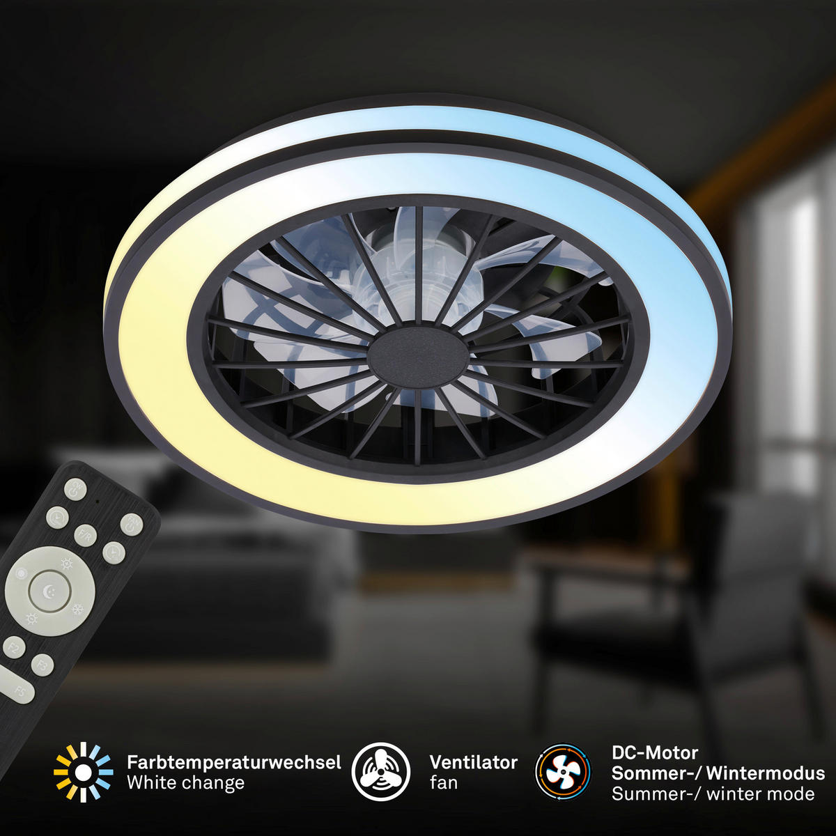 DECKENVENTILATOR 38/14 cm   - Schwarz/Weiß, Design, Kunststoff (38/14cm)