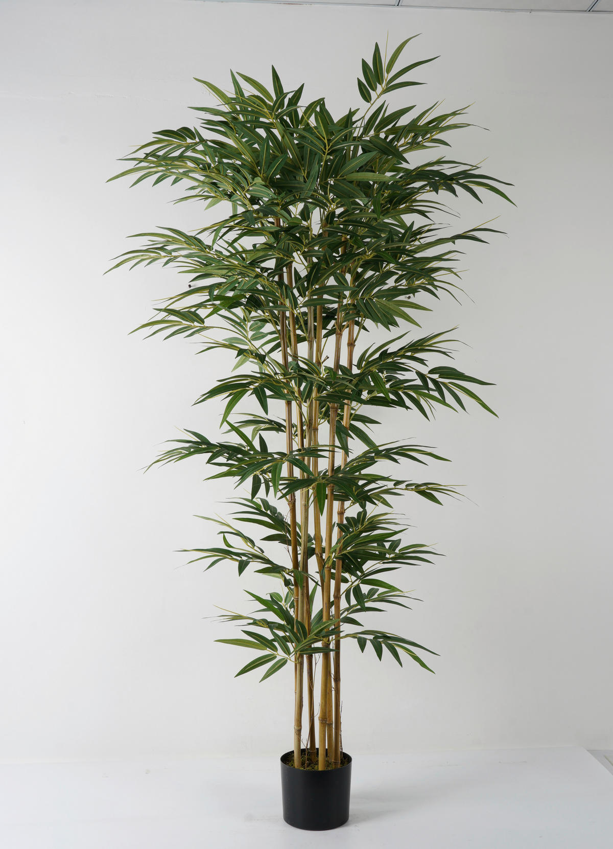 MŰNÖVÉNY - fekete/zöld, Basics, műanyag