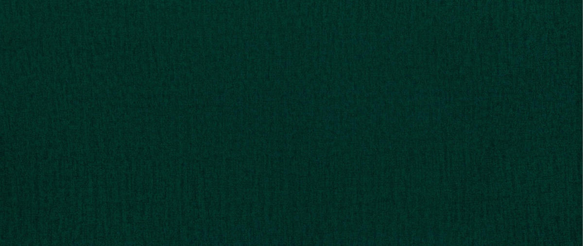 POLSTERBETT Lattenrost, Bettkasten 180/200 cm  in Grün  - Schwarz/Alufarben, Design, Holz/Kunststoff (180/200cm) - Boxxx