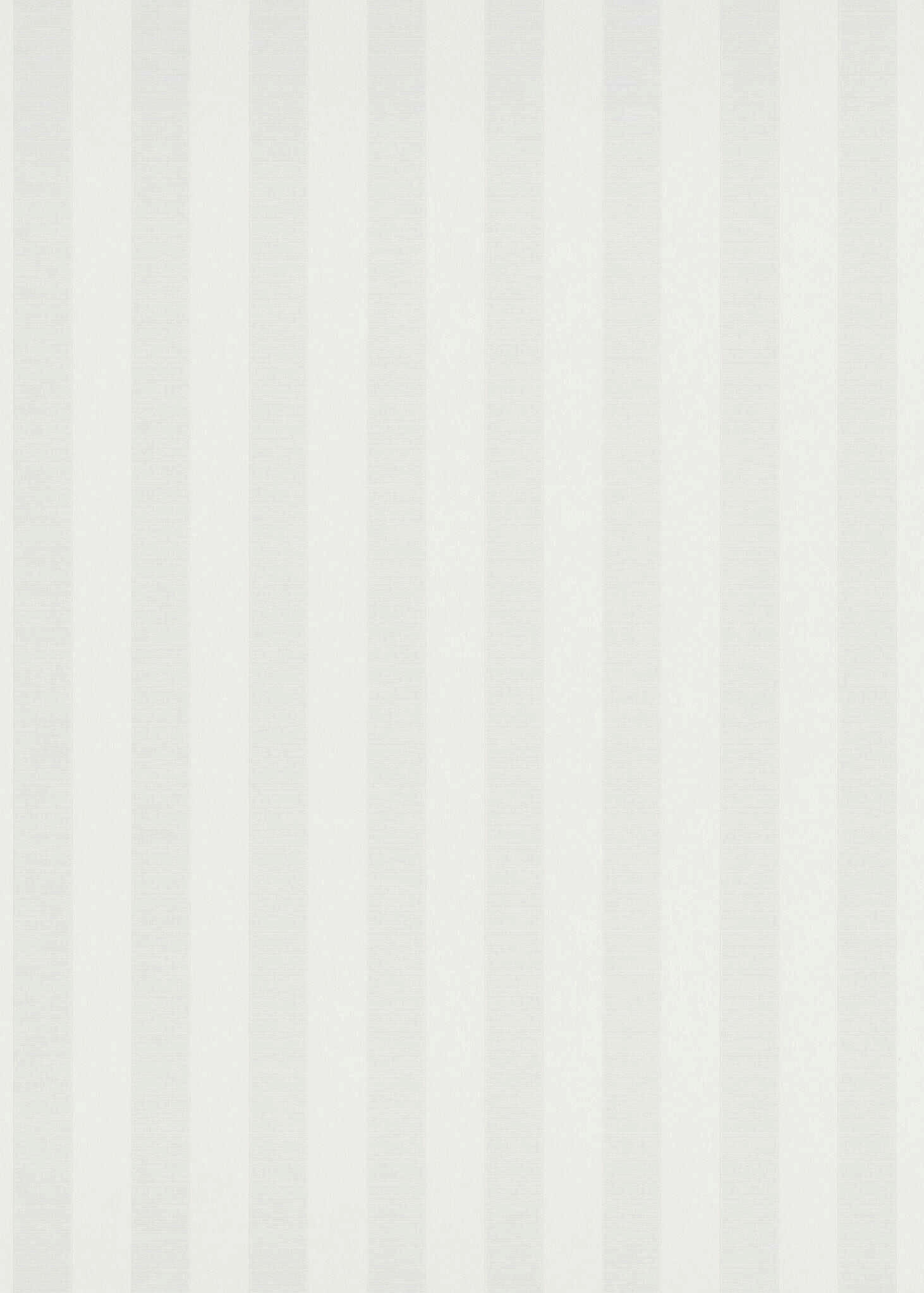 TAPETA - Basics (53*1000cm)