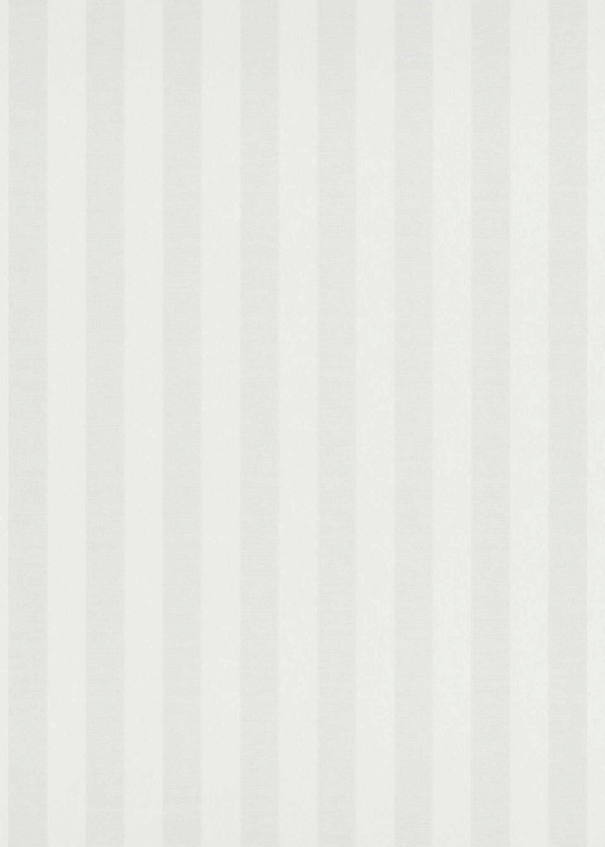 TAPETA - Basics (53*1000cm)