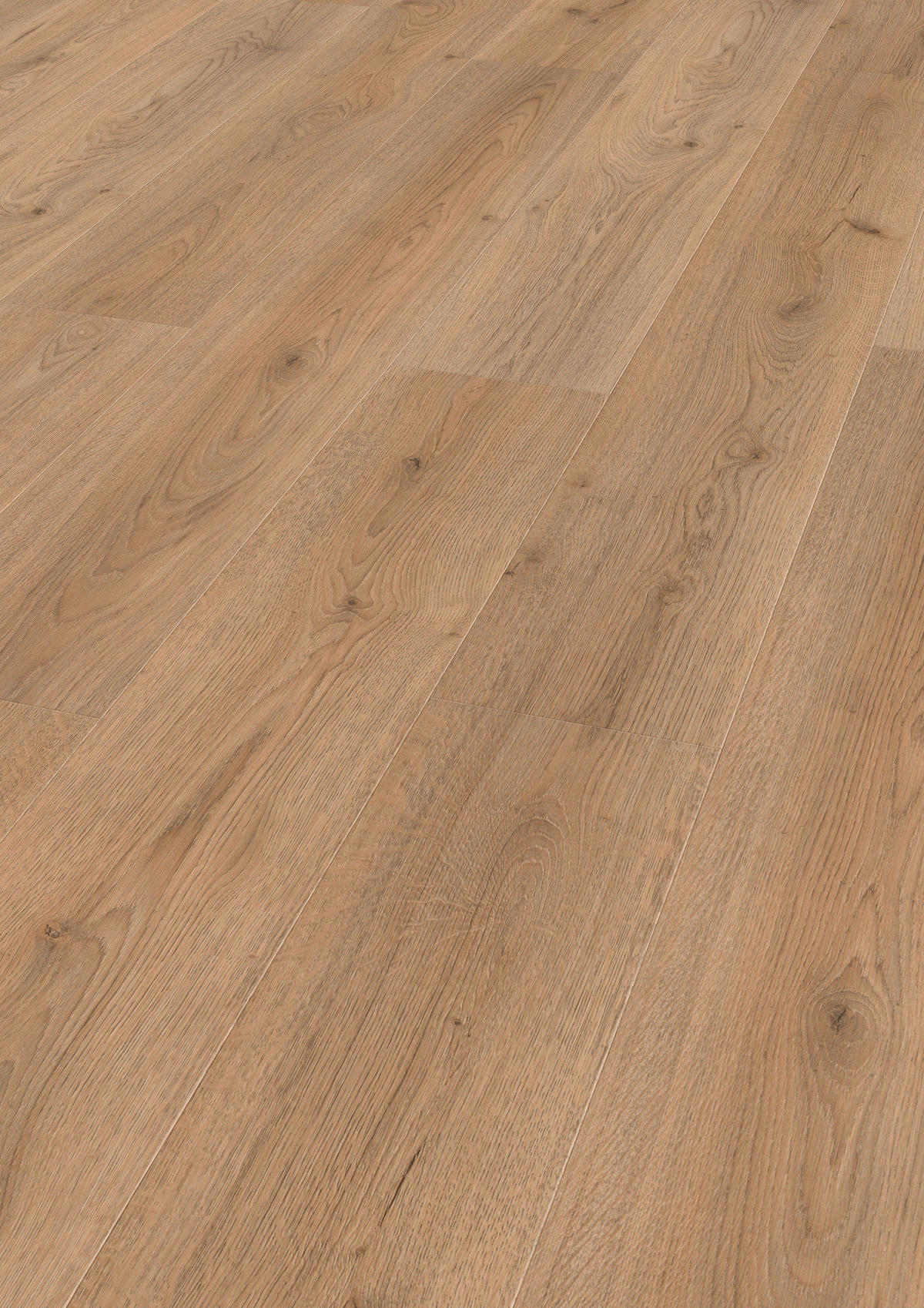 LAMINATBODEN Superior Advanced  - Eichefarben, KONVENTIONELL, Holz (138.0/19.3/0.8cm)