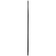 WANDSPIEGEL 100/184/2,5 cm    in  - Schwarz, Trend, Glas/Holzwerkstoff (100/184/2,5cm) - Landscape