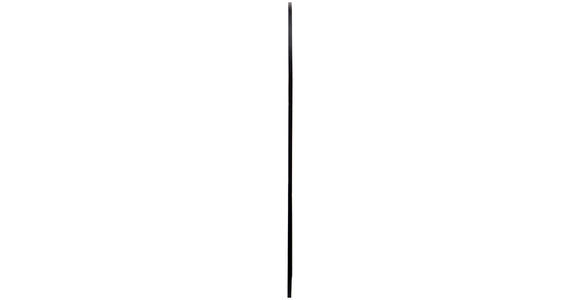 WANDSPIEGEL 100/184/2,5 cm in - Schwarz, Trend, Glas/Holzwerkstoff (100/184/2,5cm) - Landscape
