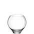 WINDLICHT - Transparent, Basics, Glas (27cm) - Leonardo WINDLICHT - Transparent, Basics, Glas (27cm) - Leonardo