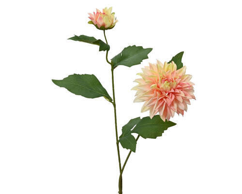 FLOARE DECORATIVĂ - Basics (15/66cm)
