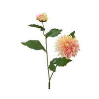 FLOARE DECORATIVĂ - Basics (15/66cm)