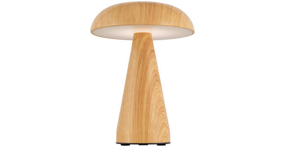 TISCHLEUCHTE - Naturfarben, Trend, Kunststoff/Metall (15,5/21cm) - Novel