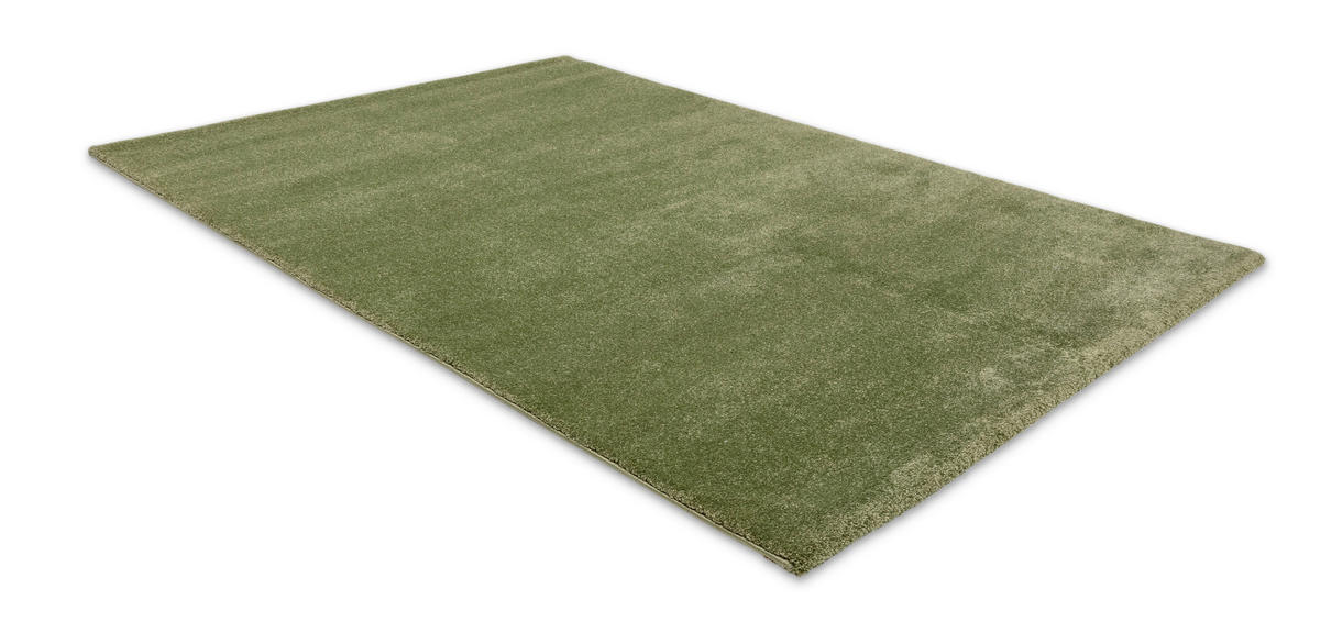 WEBTEPPICH 67/130 cm Savona Grün  - Grün, KONVENTIONELL, Textil (67/130cm) - Astra