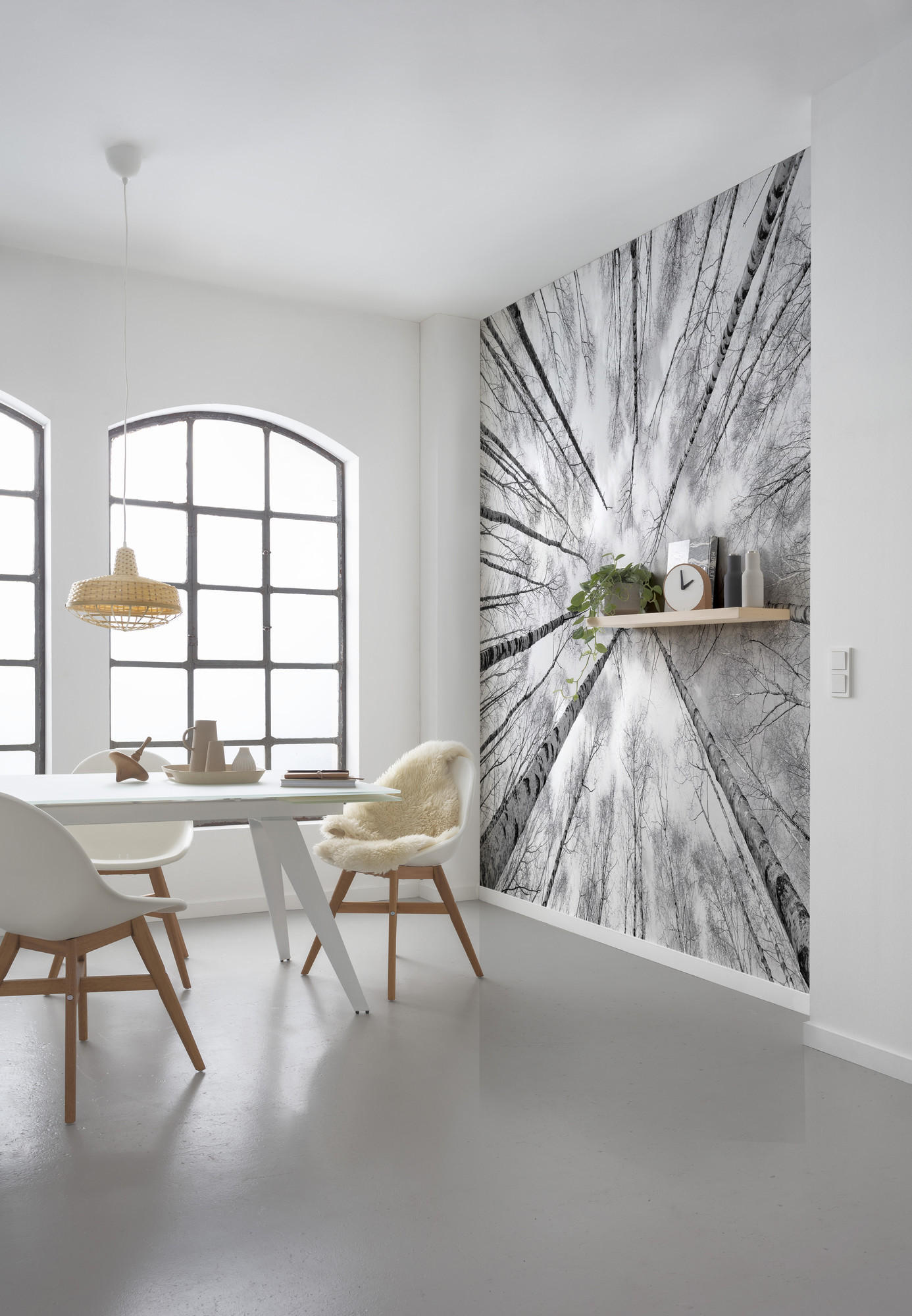 FOTOTAPETE  - Schwarz/Weiß, Trend, Textil (450/280cm) - Xora