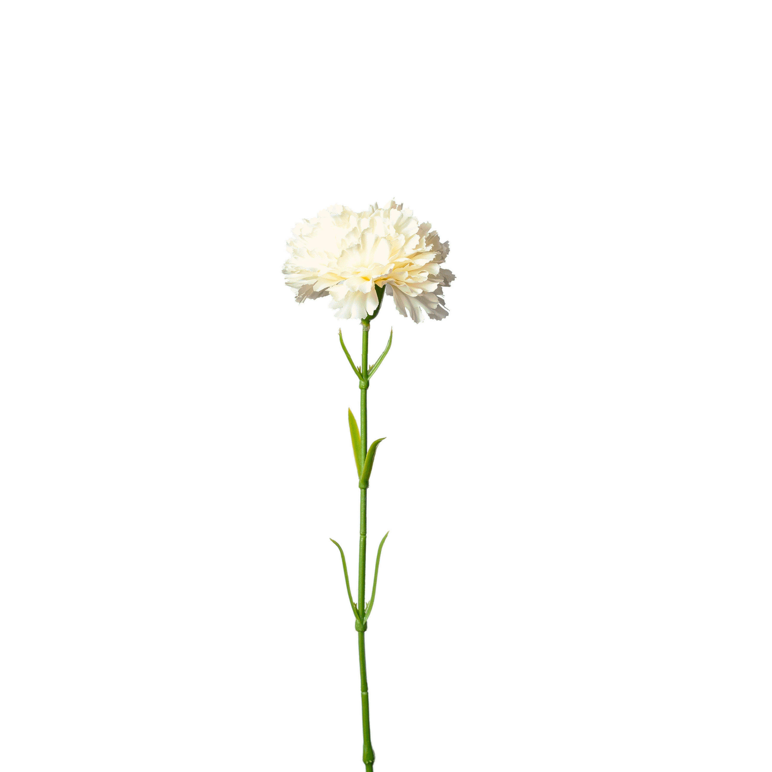 SZEGFŰ - fehér/zöld, Basics, műanyag (57cm)