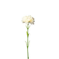 NELKE  - Weiß/Grün, Basics, Kunststoff (57cm)