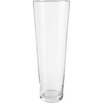 VASE 50 cm  - Klar, Basics, Glas (17/50cm) - Ambia Home