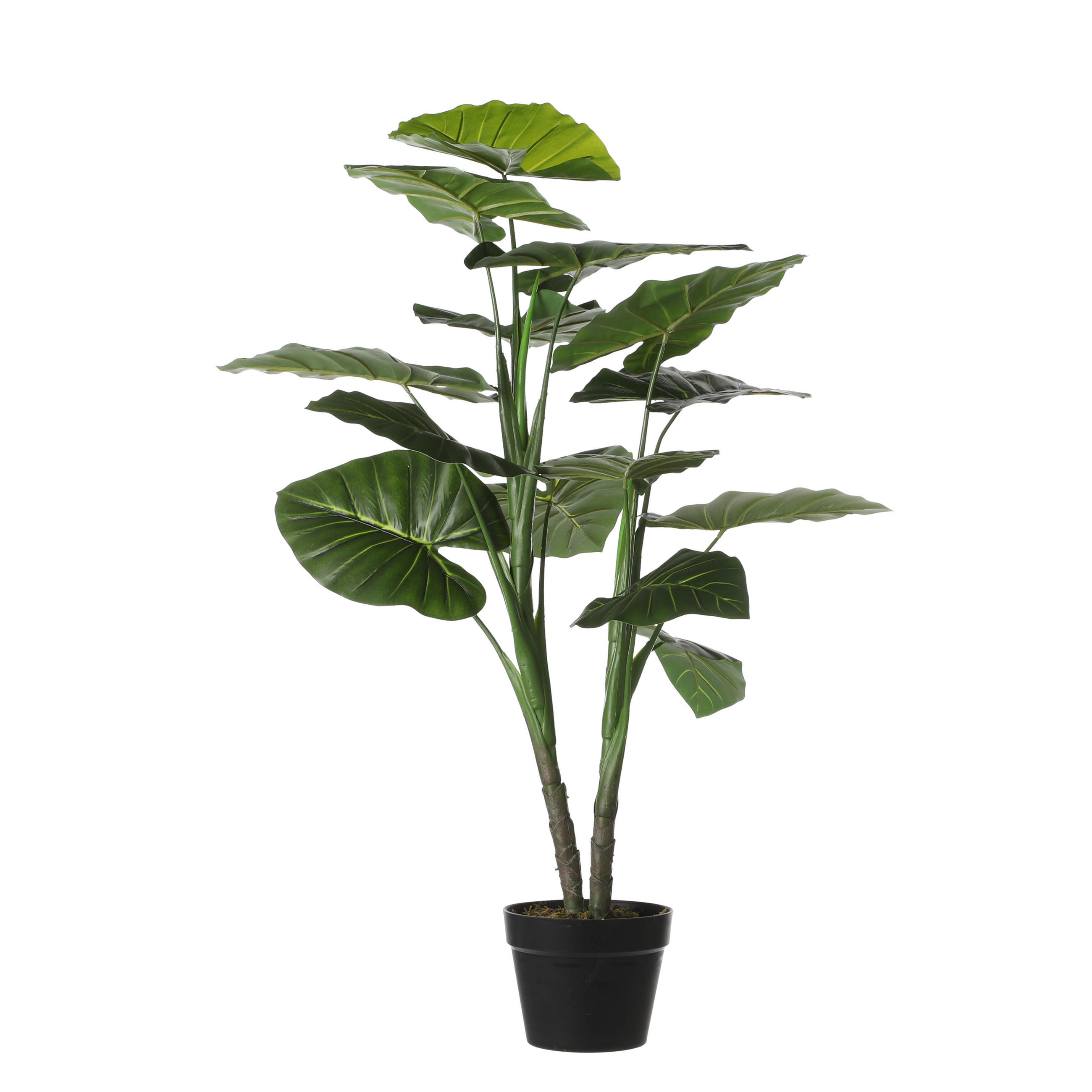 MŰNÖVÉNY - zöld, Basics, műanyag (70/101cm)