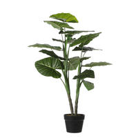 UMELÁ RASTLINA  - zelená, Basics, plast (70/101cm)