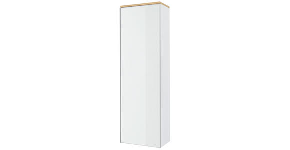 GARDEROBENSCHRANK 54/170/31 cm - Eichefarben/Silberfarben, Design, Glas/Holz (54/170/31cm) - Novel