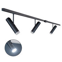 Schienensystem-Set Lina 300/4,5/25 cm  - Schwarz, Design, Metall (300/4,5/25cm) - Schöner Wohnen