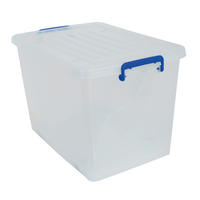 AUFBEWAHRUNGSBOX     - Transparent, Basics, Kunststoff (69/45/46cm) - Spirella