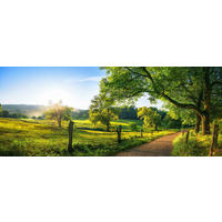GLASBILD Landschaft & Natur  - Multicolor, Natur, Glas (50/125/1,40cm) - Euroart