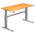 SCHREIBTISCH 160/80/72-119 cm  in Silberfarben, Buchefarben  - Silberfarben/Buchefarben, Design, Holzwerkstoff/Metall (160/80/72-119cm) - Venda