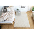 HOCHFLORTEPPICH 80/150 cm Creme  - Creme, Basics, Textil (80/150cm) - Novel