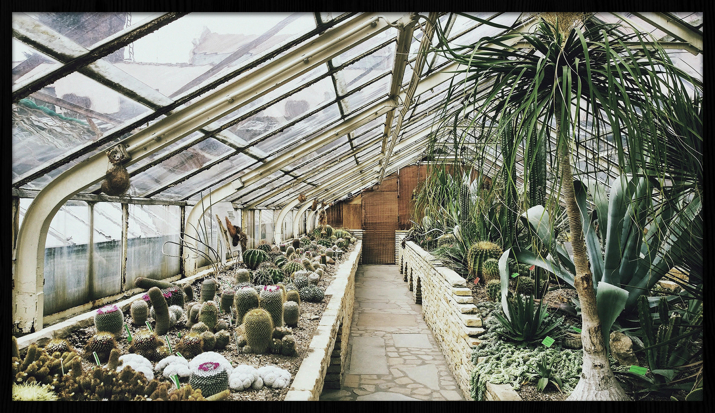 BILD 118/70 cm  - Schwarz/Grün, Design, Holz/Kunststoff (118/70cm) - Wandkraft