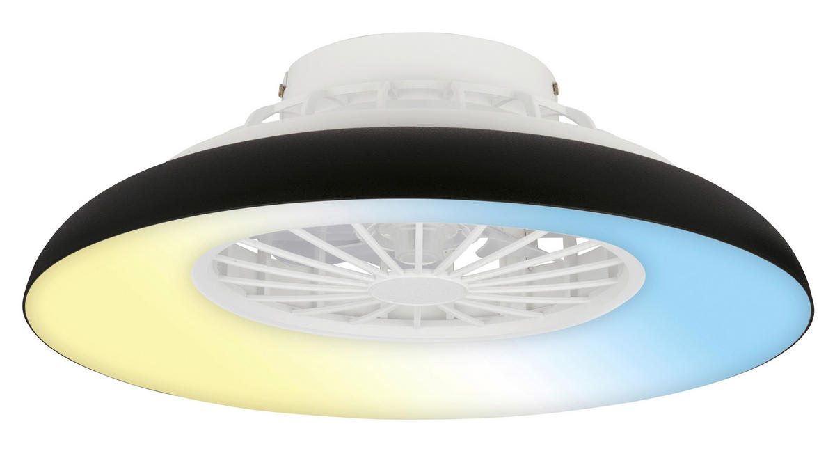 Deckenleuchte mit Ventilator 48,5/16 cm  - Schwarz/Weiß, Design, Kunststoff (48,5/16cm)
