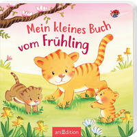 BUCH  - Multicolor, Basics, Papier (16/16/1cm)