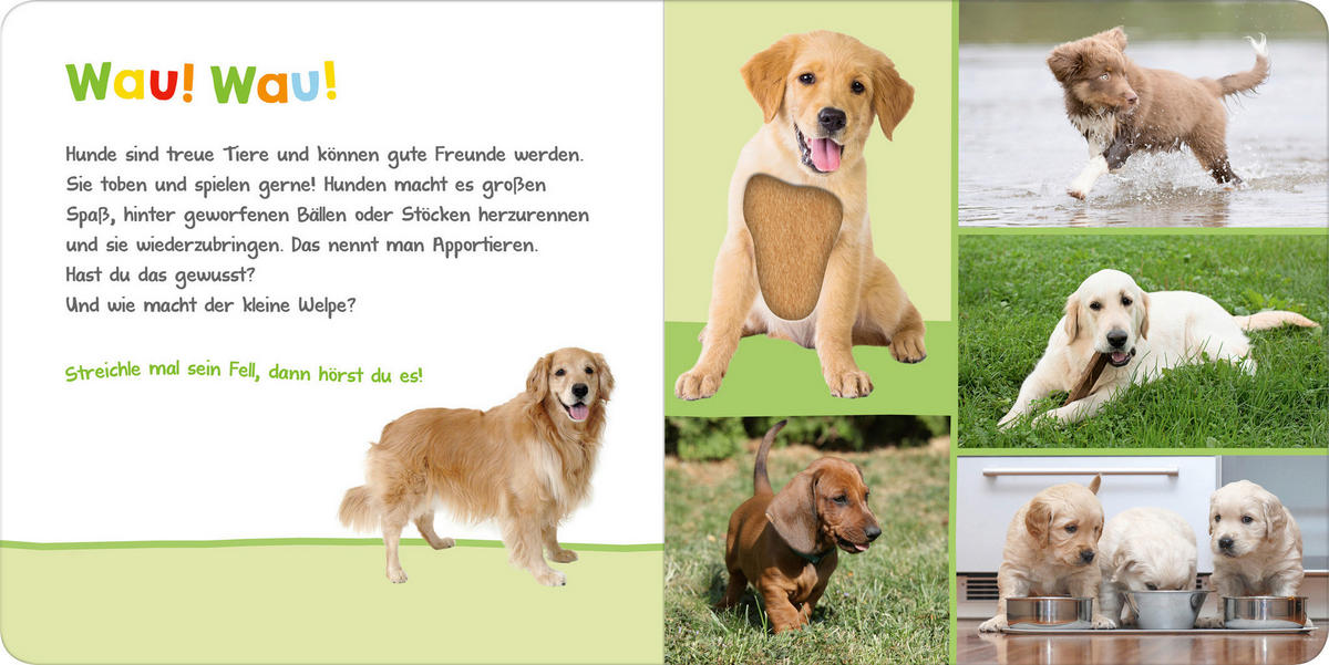 BUCH - Basics (19,6/19,6/2,4cm)