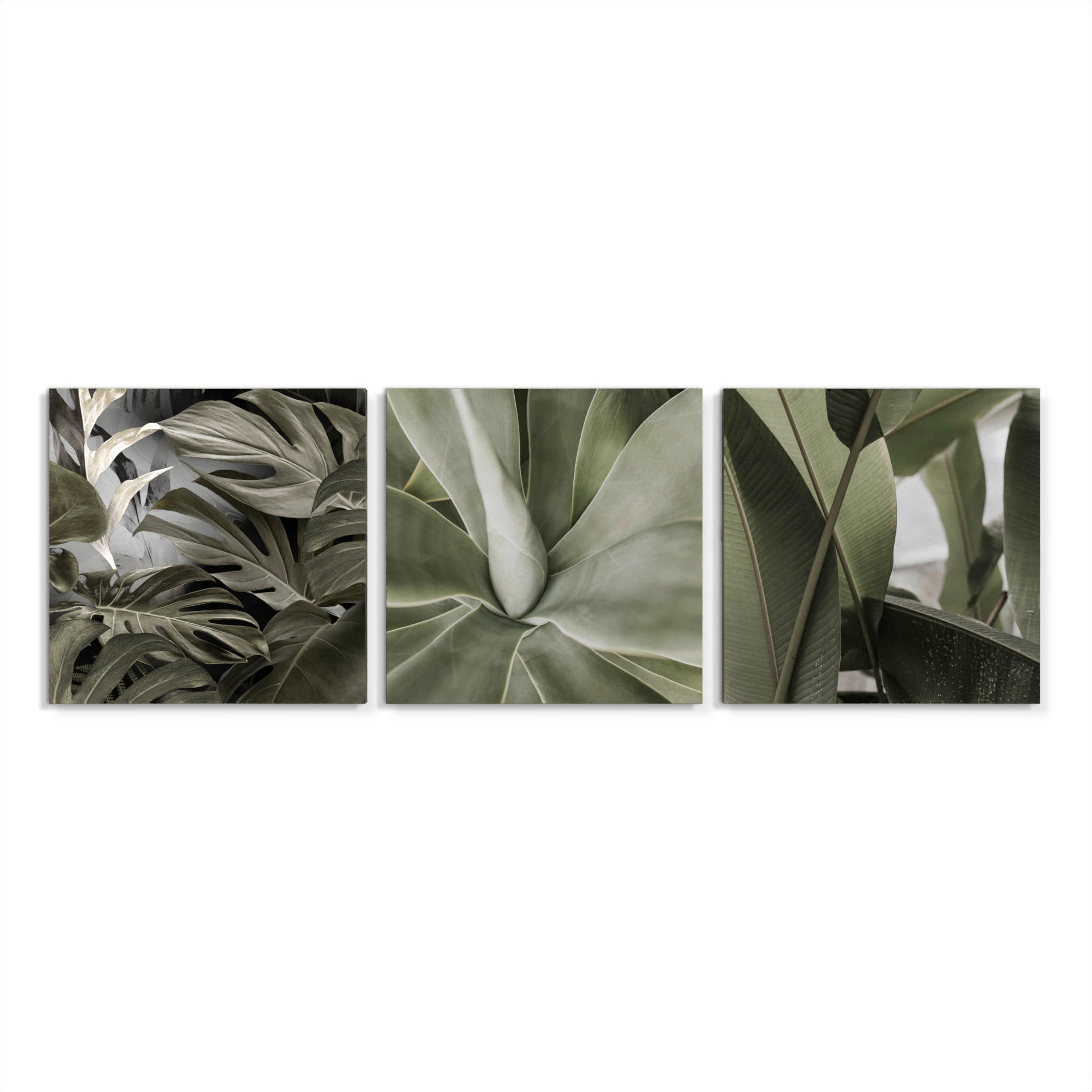 BILDERSET - Grün, Basics, Holz/Textil (3x32/32cm)