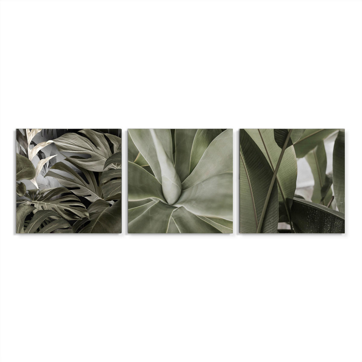 BILDERSET - Grün, Basics, Holz/Textil (3x32/32cm)