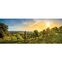 GLASBILD Landschaft & Natur 50/125 cm  - Multicolor, Natur, Glas (50/125cm) - Euroart