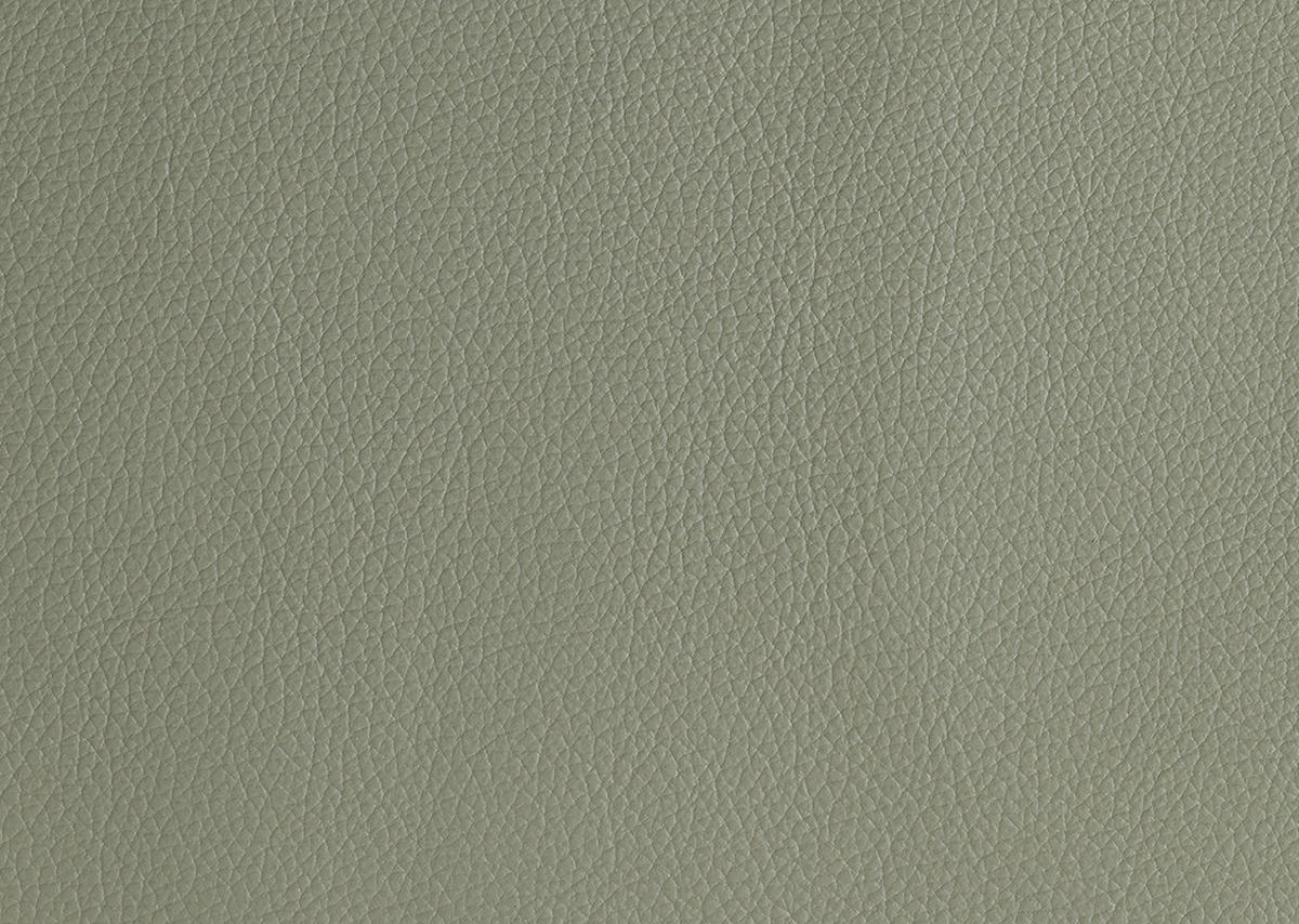 ECKSOFA  in Echtleder Schilfgrün  260/324 cm  - Schilfgrün/Schwarz, KONVENTIONELL, Leder/Kunststoff (260/324cm) - Cantus