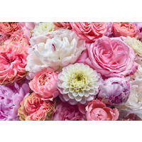 FOTOTAPET 368/254 cm  - multicolor, Basics (368/254cm) - Komar