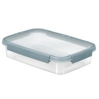 POSUDA ZA ČUVANJE NAMIRNICA  2 l   - siva/prozirno, Basics, plastika (28,9/20,2/6,6cm) - Curver