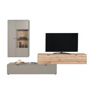 WOHNWAND 3-teilig  in Hellgrau, Wildeiche  293,5/205,5/45,2 cm  - Wildeiche/Hellgrau, Design, Glas/Holz (293,5/205,5/45,2cm) - Dieter Knoll