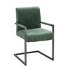 ŽIDLE S PODRUČKAMI, železo, samet, zelená, černá - černá/zelená, Trend, kov/textil (54/91/63cm) - Ambia Home