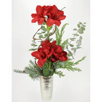 AMARYLLIS Amaryllis  - Rot, Basics (47/67/26cm)