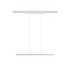 SCHIENENSYSTEM-HÄNGELEUCHTE DUOLINE   - Weiß, Basics, Metall (90/180/5cm) - Trio Leuchten