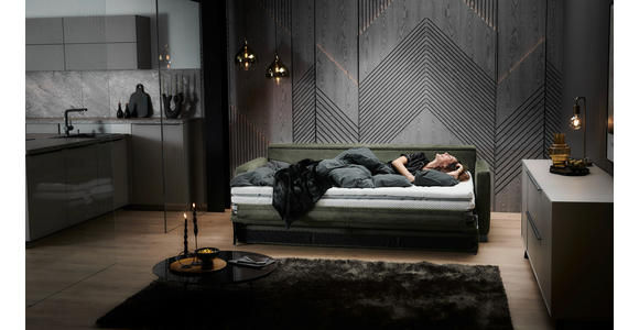 SCHLAFSOFA  in Flachgewebe Dunkelgrün  - Dunkelgrün/Schwarz, KONVENTIONELL, Textil/Metall (232/77/116cm) - Dieter Knoll