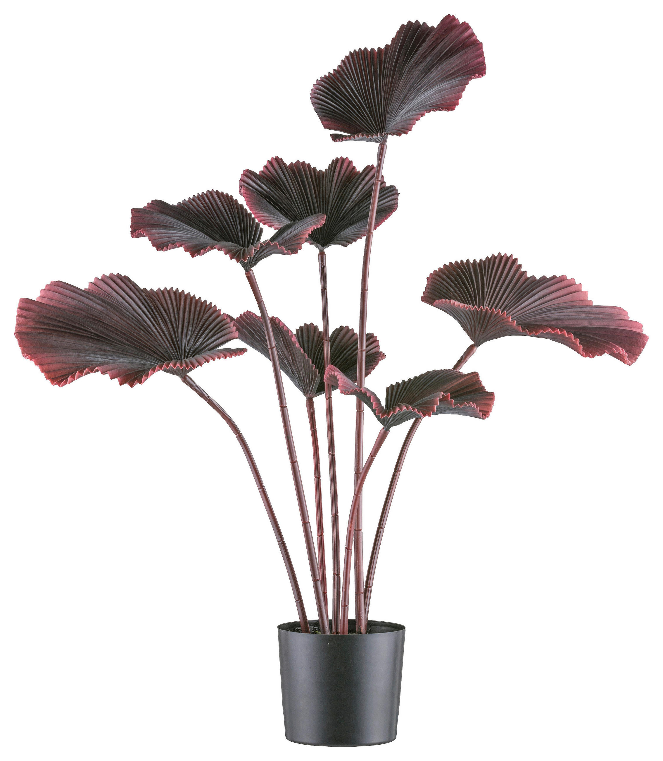 KUNSTPFLANZE Palme 100 cm  - Schwarz/Dunkelrot, Design, Kunststoff (100cm)