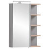 SPIEGELSCHRANK 50/74,4/16 cm  - Grau, MODERN, Glas/Holzwerkstoff (50/74,4/16cm) - MID.YOU
