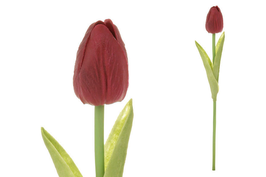 XXXL TULIPÁN 35 cm