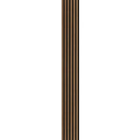 AKUSTIKPANEEL Echtholz Eiche rustikal acous Comfort Light  - Eichefarben, KONVENTIONELL, Holz/Holzwerkstoff (250/30/0.61cm) - Novel