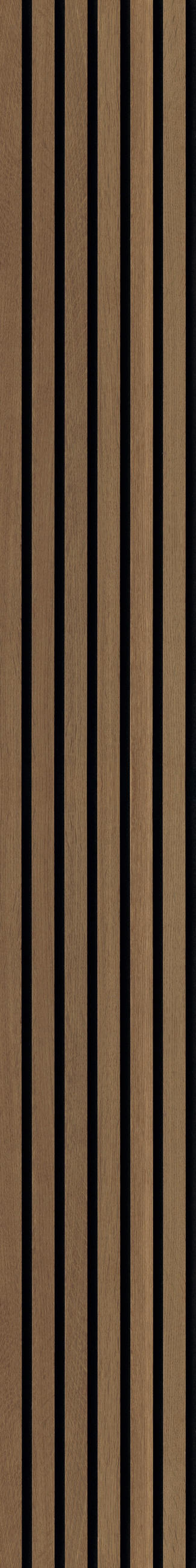 AKUSTIKPANEEL Echtholz Eiche rustikal acous Comfort Light  - Eichefarben, KONVENTIONELL, Holz/Holzwerkstoff (250/30/0.61cm) - Novel
