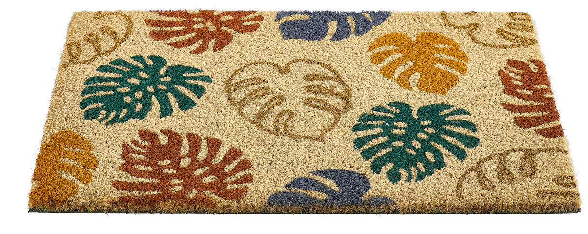 FUßMATTE  40/60 cm  Multicolor  - Multicolor, Basics, Naturmaterialien/Kunststoff (40/60cm) - Esposa