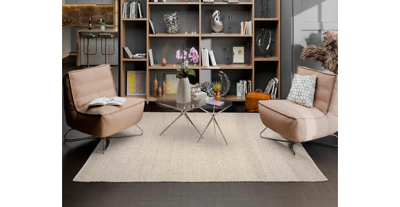 HANDWEBTEPPICH 250/350 cm Havre Naturfarben, Beige  - Beige/Naturfarben, Basics, Textil (250/350cm) - Linea Natura