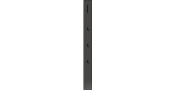 GARDEROBE 4-teilig in 155/191/34 cm - Anthrazit/Schwarz, Design, Glas/Holzwerkstoff (155/191/34cm) - Dieter Knoll
