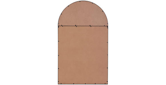 WANDSPIEGEL 100/169/2,5 cm in - Schwarz, Trend, Glas/Holzwerkstoff (100/169/2,5cm) - Landscape